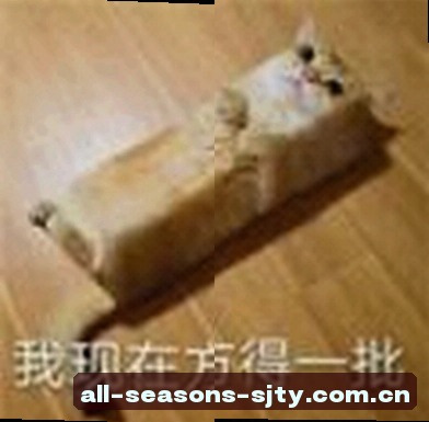 陈瑶